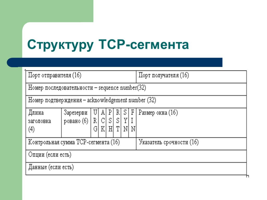 Структуру TCP-сегмента